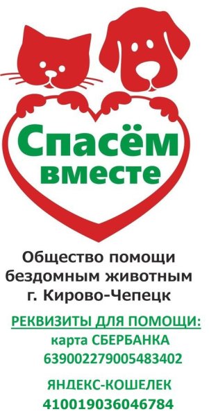 Акция помощи животным