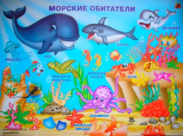 Животные морей и океанов для детей