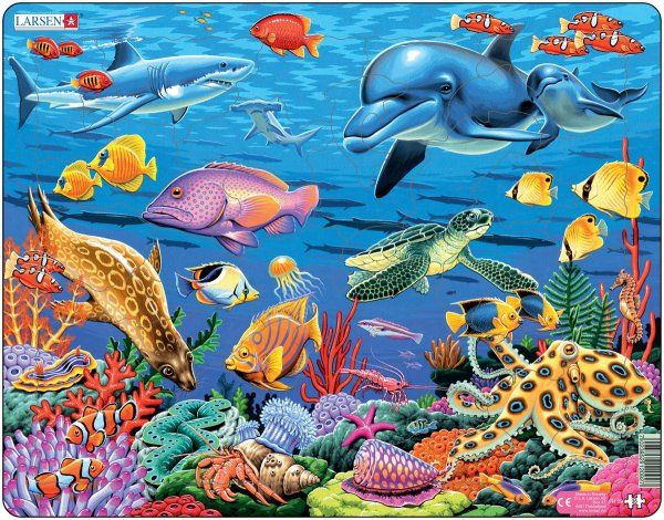 Обитатели моря для детей