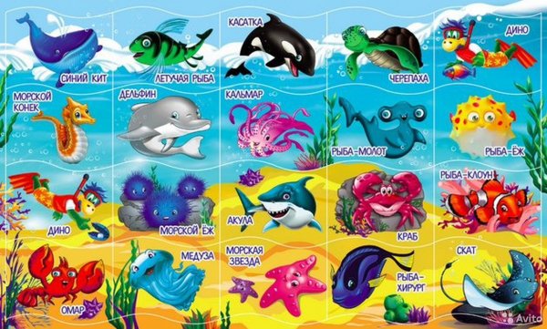 Обитатели океанов для детей