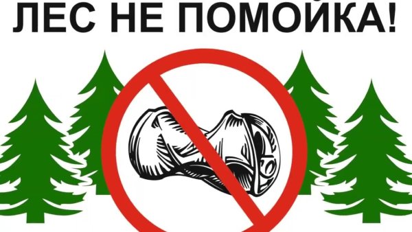 Плакаты для детского сада