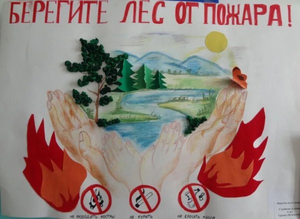 Берегите лес