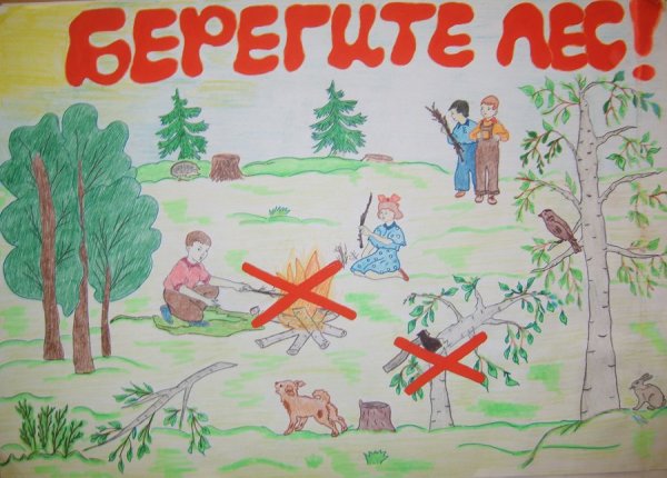 Плакат "берегите лес!"