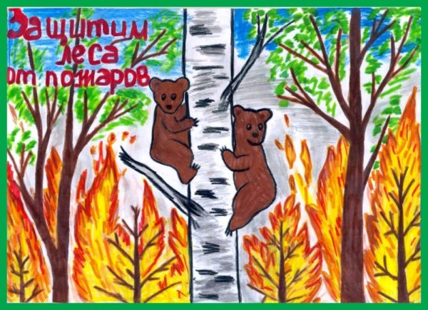 Береги лес от пожара