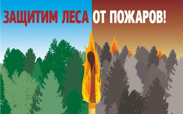 Защита леса