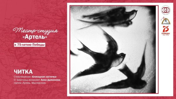 Патриотическая акция Блокадная Ласточка сертификат