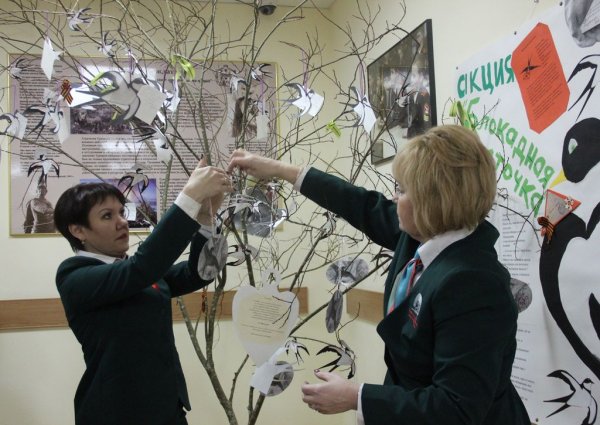 Патриотическая акция Блокадная Ласточка сертификат