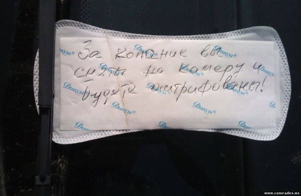 Возвращение домой