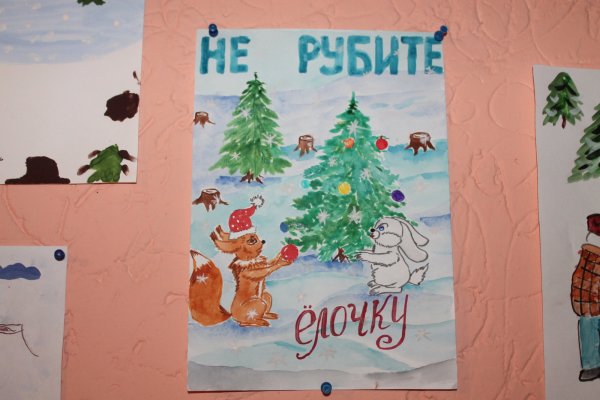 Сбережем елочку