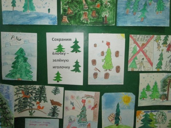Плакат в защиту елочки