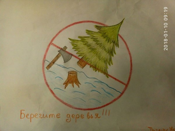 Плакат в защиту елок