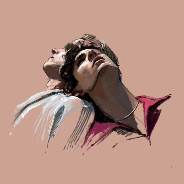 Тимоти Шаламе икона