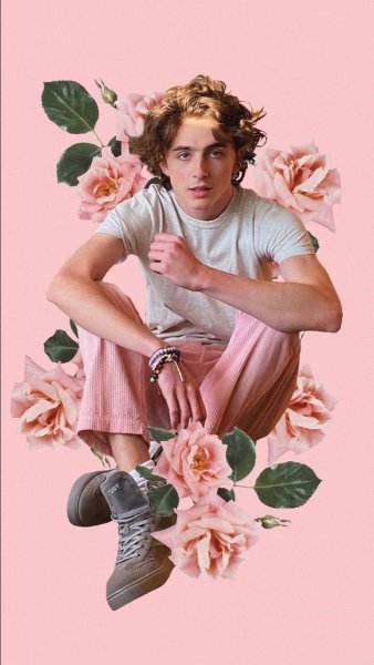 Зови меня своим именем Италия