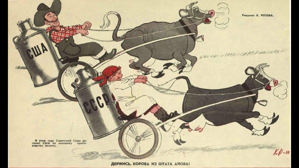 Держись корова из штата Айова