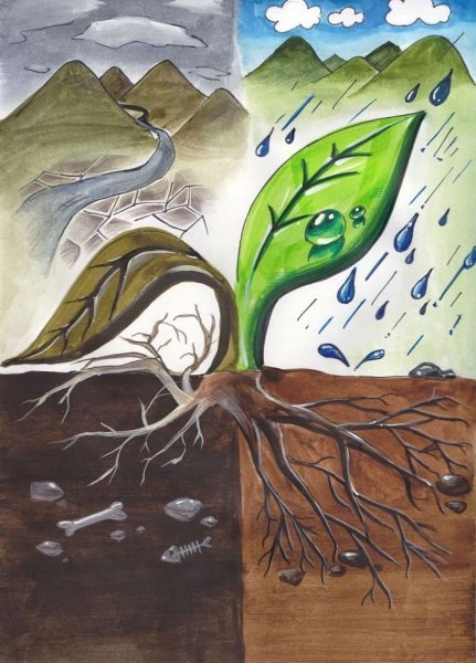 Экологический рисунок