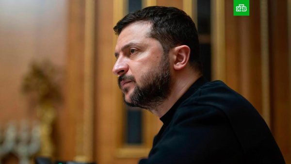 Владимир Зеленский клоун