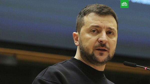 Розыск Зеленского