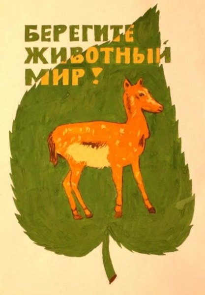 Берегите животных