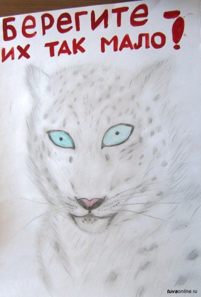 Плакат на тему защита животных