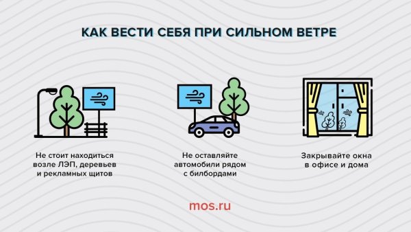 Памятка поведение при сильном ветре