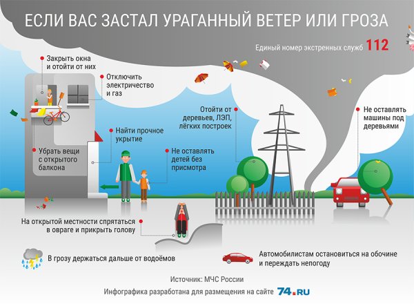 Памятка при сильном ветре МЧС