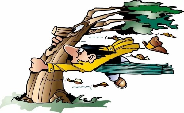 Девушка и сильный ветер