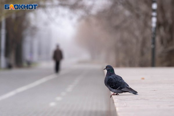 Ребенок с воздушным змеем