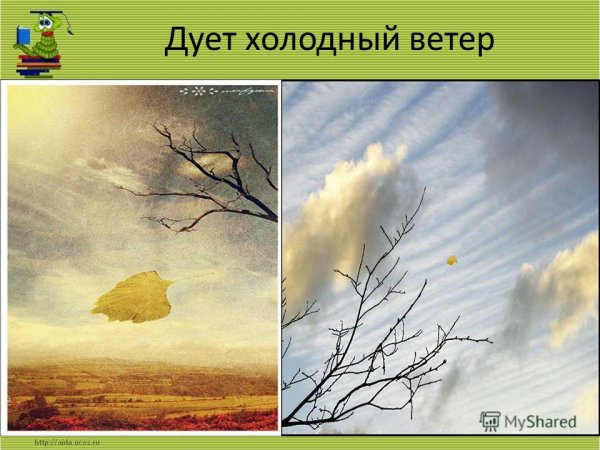 Ветер иллюстрация