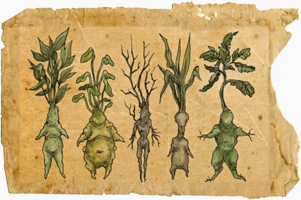 Постеры в стиле грибов