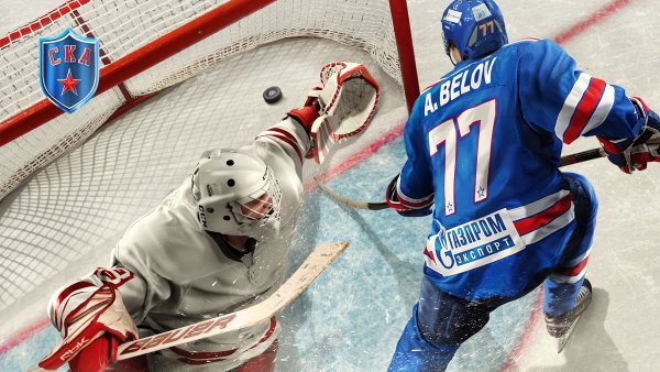 Хоккейные плакаты болельщиков