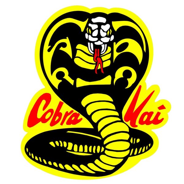 Кобра Кай 2018 poster