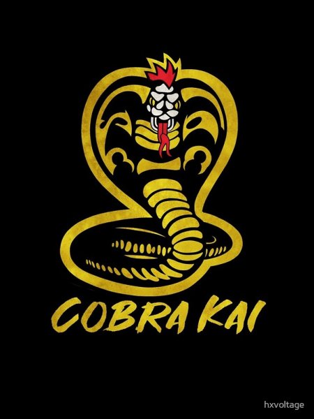 Сериал Кобра Кай Постер 2 сезон