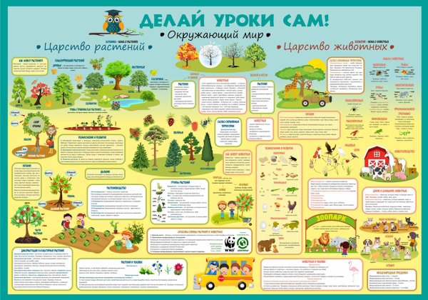 Делай уроки сам плакаты