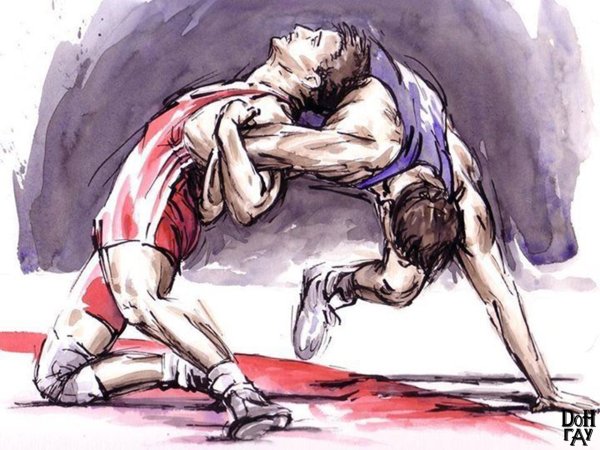 Вольная борьба Емельянов