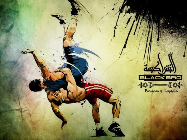 Фотообои борцы