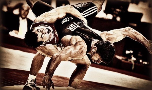 Борец на аву