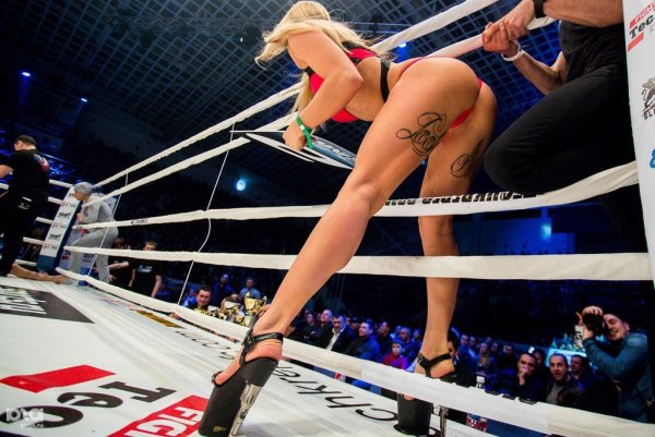 Бриджес боксерша