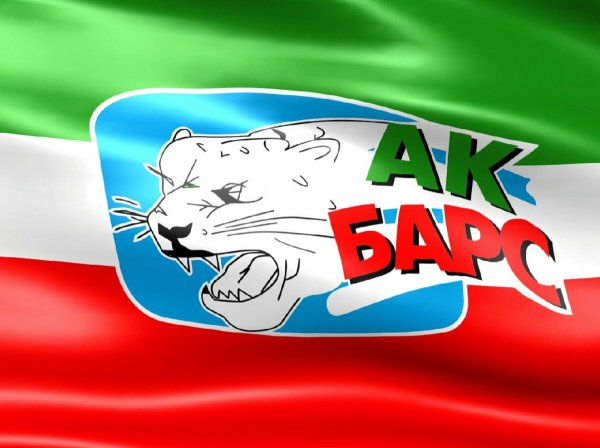 Плакаты АК Барс