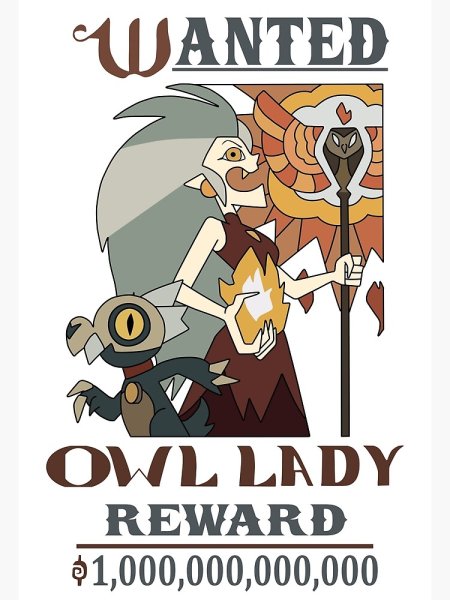 Плакат о розыске Иды дом Совы