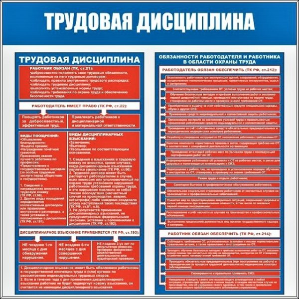 Трудовая дисциплина примеры
