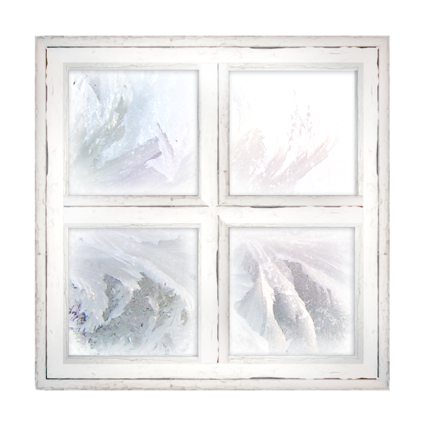 Художник Евгения Чистотина