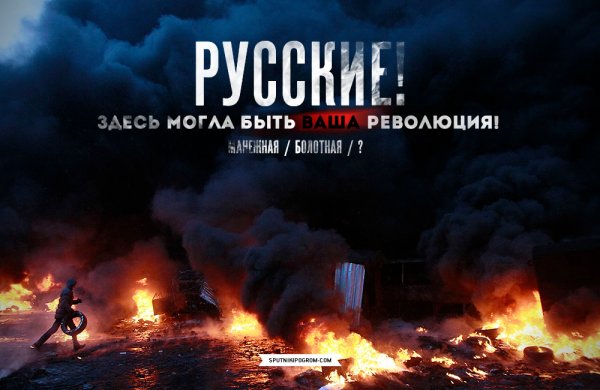 Спутник и погром обложки