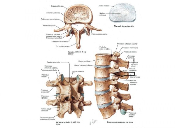 Постеры для массажного кабинета