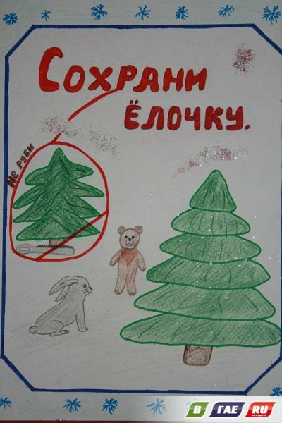 Листовки в защиту елок