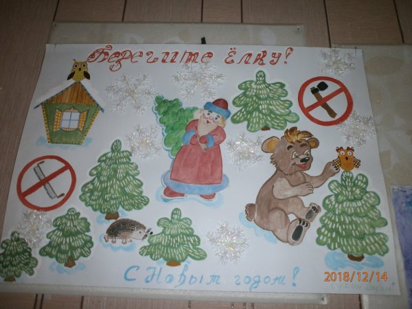 Листовка в защиту хвойных