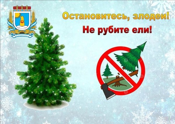 Против вырубки елок