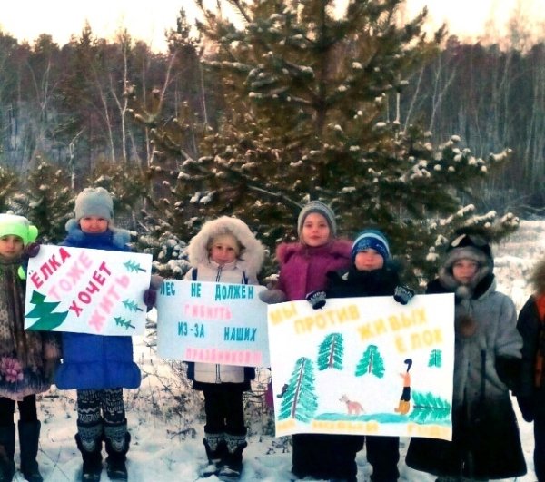 Призывы в защиту хвойных деревьев