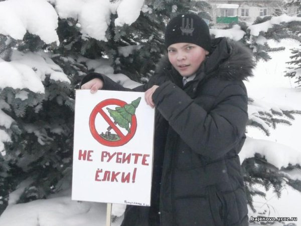 Плакат берегите елочку