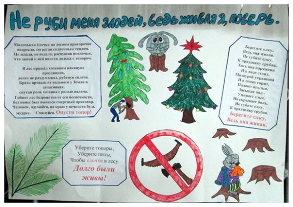 Срубленные елочки в лесу