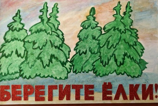 Рисунок на тему не рубите елки